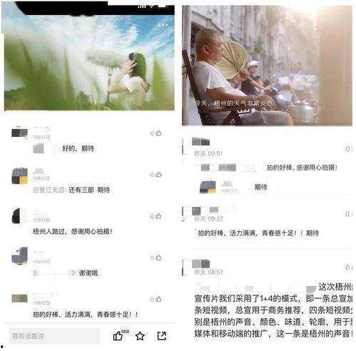 石建庄媒体爆料视频大全,揭秘事件真相与幕后故事  第3张