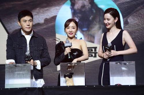 娱乐圈吃瓜汇总718,揭秘明星幕后真相与八卦风云  第1张